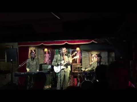 The Iberians - Stick a bush