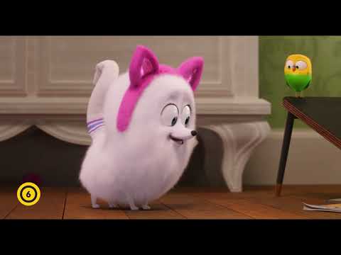 A kis kedvencek titkos élete 2 - Gigi - magyar nyelvű előzetes