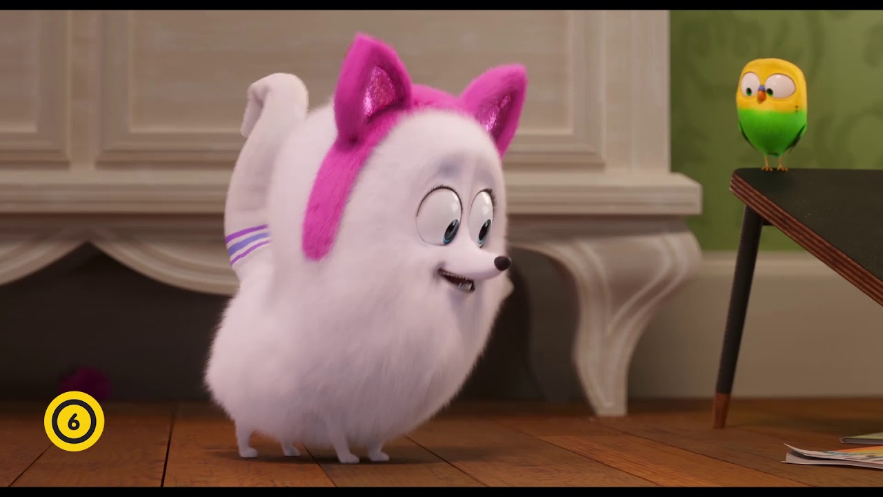 A kis kedvencek titkos élete 2 - Gigi - magyar nyelvű előzetes