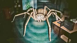 Australia simulator, this spider is NIGHTMARE FUEL!