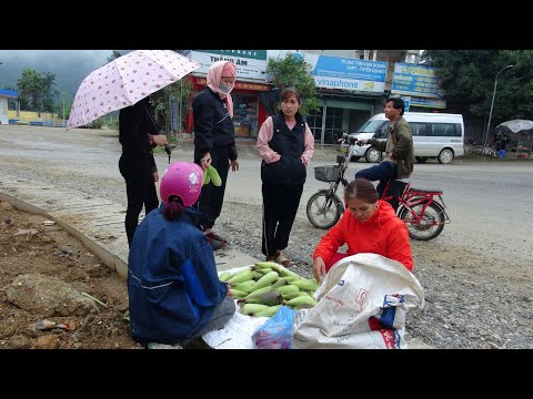 Full Video: 200 Days Building Farm, Harvest vegetables go to the market to sell - green forest life