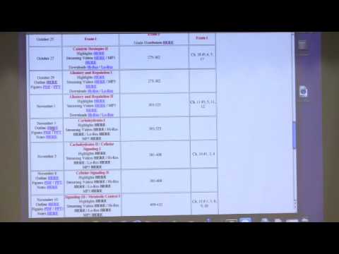 Kevin Ahern's Bite-Sized Biochemistry #16:  Carbohydrates I (Structure and Function)