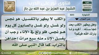 صورة 809 - حكم اقتناء الكلاب وادعاء طهارتها بالتغسيل - نور على الدرب