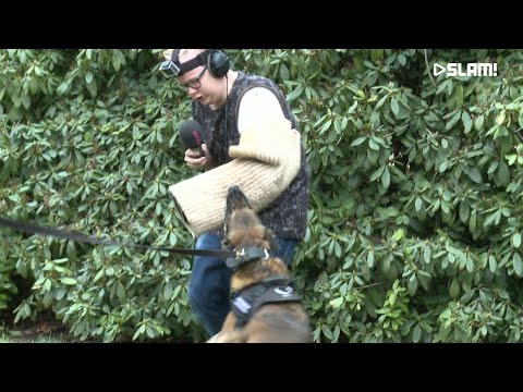 Aangevallen door een politiehond | Weerbericht Met Hindernissen #5