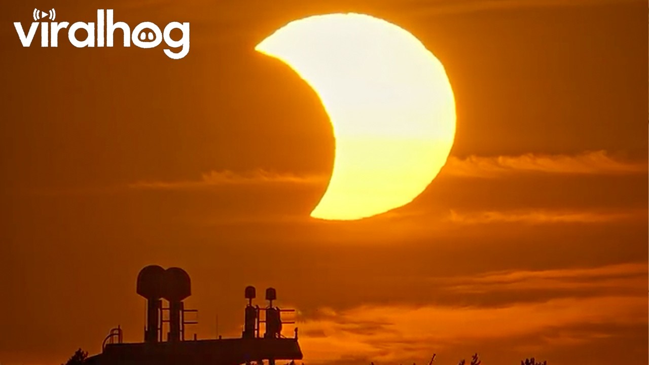 Solar Eclipse Cruise Ship Magic || ViralHog