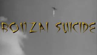 Cavalera Conspiracy - Bonzai Kamikazee - Fan made MUSIC VIDEO