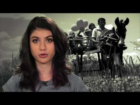 Prog. Prosa, Café e Viola 383 parte 01 - Bruno Fernandes