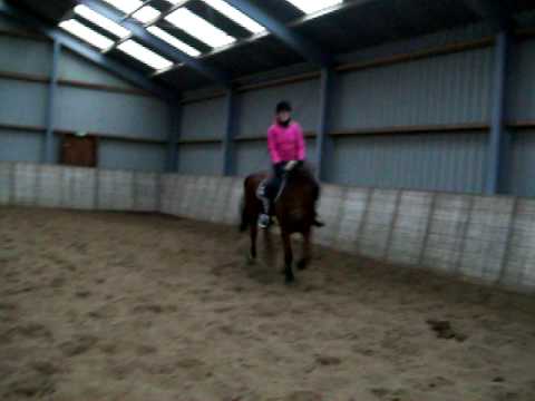 Greetje&Uiwer(v.Houston x Tangelo)