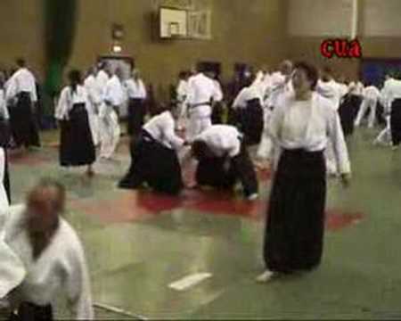 How to do Aikido with Jon Stokoe :  Nakazono Aikido Memorial Event