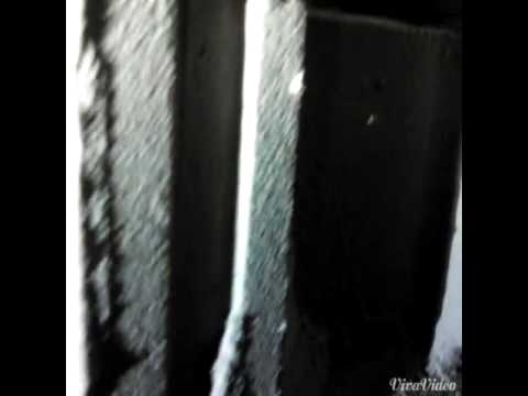 Ants Invade Home in Milltown, NJ