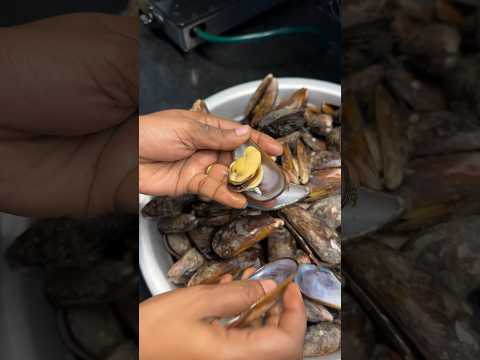 How to clean cooked mussels(தோடு)| Best way to fry Mussels #seafood #mussles #shotoniphone #trending
