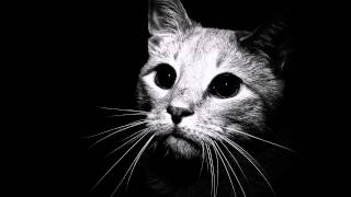 Gustavo Santaolalla - Alma