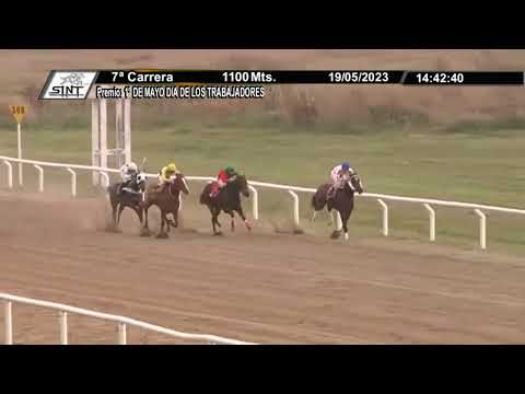 SINT - COLONIA 230519 - c07 1° NOVELERA FT