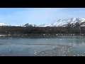 GREEK ALASKA