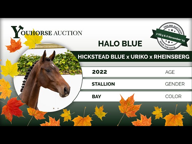Halo Blue