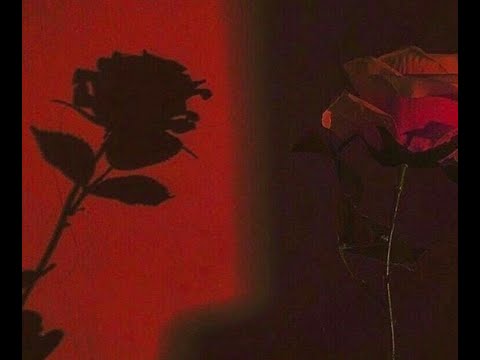 Brix X Yelloasis - MANICURE