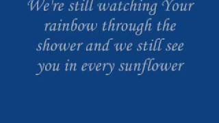 Bell X1 - In Every Sunflower