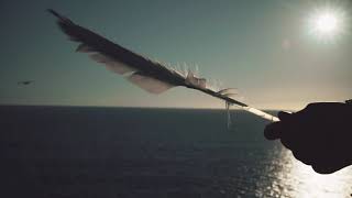 Cécile Seraud - LIFE (Officiel)