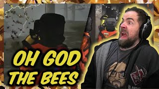24 Streamers vs. Bees
