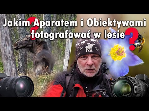 Jakim aparatem 📸  i obiektywami fotografuje w lesie 🌳 sasanki łosie i żurawie