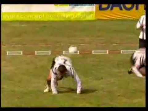 Faustball einfach genial