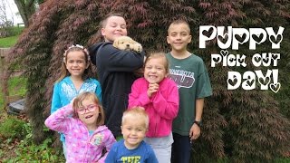 Puppy Pick Out Day! | Crazy8Family