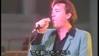 Boz Scaggs  - Miss Sun (’つくば &#39;85 Live)