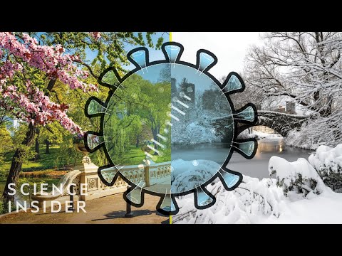 天氣變暖會不會讓COVID-19停止？ (Will Warm Weather Stop COVID-19?)