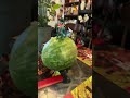 Prototype Jurassic Park