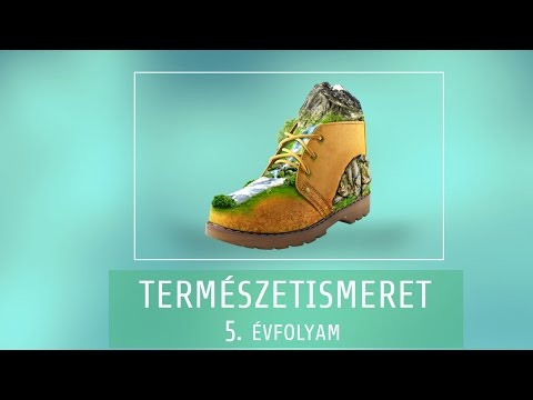 Égés és tűzvédelem