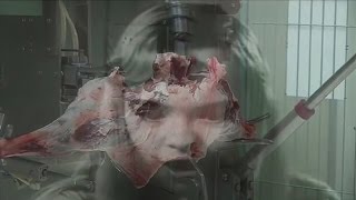 Negativland - The Sample Show (part two)