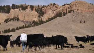 Modest Mouse - Long Distance Drunk