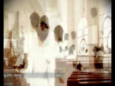 Hoa cưới - Hồ Anh Dũng