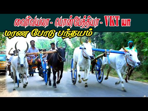 தஞ்சாவூர் (மா) மாவுடுகுறிச்சி பயிற்சி பந்தயம்||08/008/2021||Mavudukurichi Panthayam krish rekla race