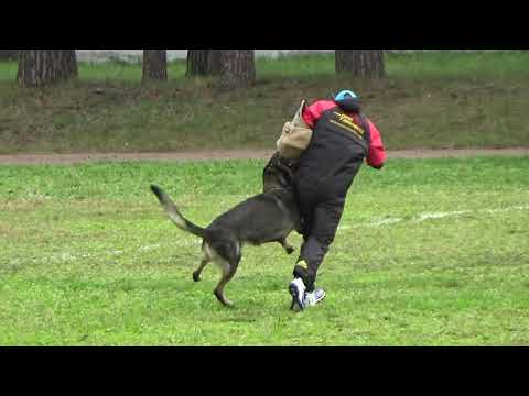 2021 IGP CACIT Dmitrov Russia IGP-1 E Kuznetsova and Zorkinhof Fin Урри GSD C dis