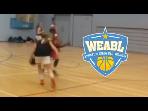 WEABL Top 10 Plays - Week 15 - 2016/17 Season