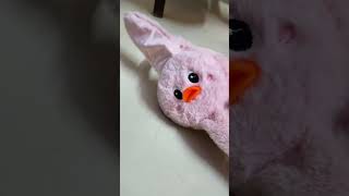 Chuchu Duck 🐣🐤🦆#Shorts