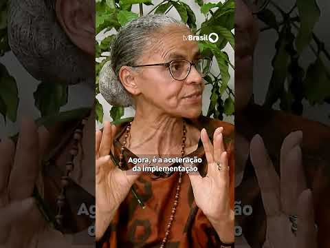 Marina Silva: “Estamos perdendo 500 milvidas só por ondas de calor”