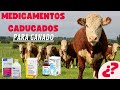 EXPIRED MEDICINES FOR LIVESTOCK CAN EXPIRED MEDICINES BE USED