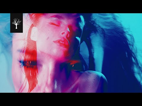 Feel Your Soul | Armin van Buuren, Rüfüs Du Sol, Korolova, Tale Of Us, Paul Kalkbrenner | P03