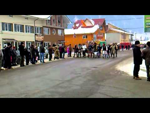 capra carjenilor 8 2011