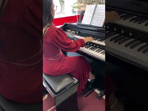 Comece o ano com o incrivel MD750 Gold!