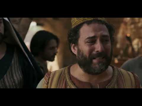 TEMPO DI GUARIRE EVAN SCHOOMBIE