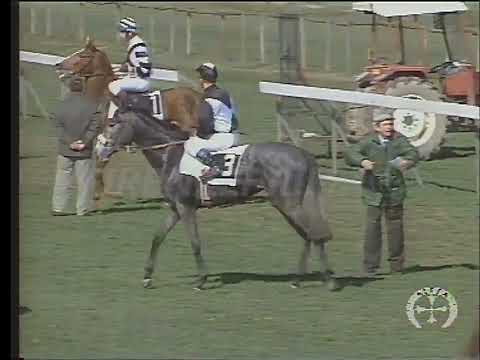 Ippodromo San Rossore. Immagini 107° Premio Pisa - 2 Marzo 1997