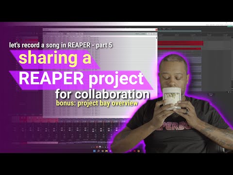 Let's Record a Song in REAPER Part 5 -  Collaboration featuring "Freeze" and the Project Bay