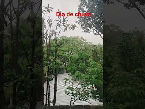 SÃO PAULO,,COM CHUVA ..VEJA