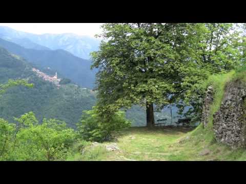 Bert Jansch - One For Jo (live '78)