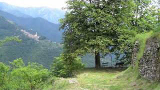 Bert Jansch - One For Jo (live '78)