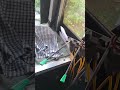 Bus Air Horn Sound Test Car Shorts Horn Trend