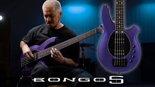 Video thumbnail for Sterling by Music Man: Bongo 5 Demo (ft. Arthur De Palla) by Ernie Ball